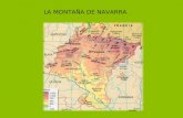 Relieve MontañA Y Cuencas