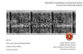 Reforma energética constitucional