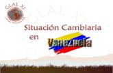Situacion Cambiaria en Venezuela