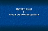 Biofilm oral