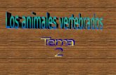 T.2 animales vertebrados
