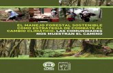 El manejo forestal sostenible como estrategia de combate al cambio climático