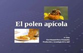 El polen apícola