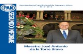 SEGUNDO INFORME José Antonio de la Torre Bravo