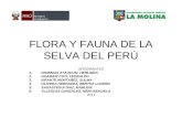 Flora y fauna de la selva del perú actividad3