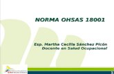 Modulo de norma ohsas 18001