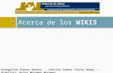 Wikis Chavez Torres Berumen