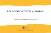 Relación vegetal y animal. imágenes
