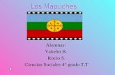 Los Mapuches Yakelin Rocio
