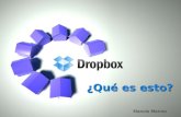 2010 10 Dropbox Y Discos
