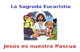 Eucaristía. melquisedec, abraham, pascua judía y pascua cristiana rocíode blanco pps1