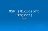 Msp (microsoft project)