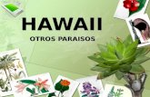 1470 hawai-(menudospeques.net)