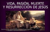 Vida, pasion, muerte y resurreccion de jesus