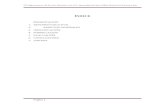 Perfil de proyecto oficial de cvm 22 11-2011 ultimo para imprimir