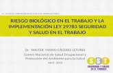 Caceres seminario sst-riesgosbiologicos-2012-04-24