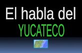El habla del yucateco