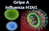 Gripe A H1N1
