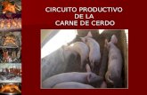 Circuito Productivo De La Carne De Cerdo