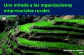 Una Mirada a las Organizaciones Empresariales Rurales