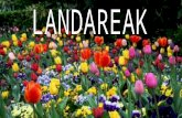 Landareak blog