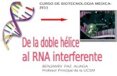 Rna interferente  medical biotechnology 2011