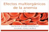 Efectos multiorgánicos de la anemia
