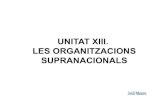 13   organitzacions supranacionals copia
