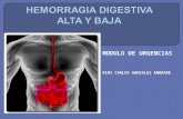 Hemorragia de tubo digestivo alto y bajo