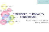 Sindromes Tumorales Endocrinos Caso