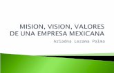 Mision, Vision, Valores De Una Empresa