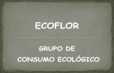Ecoflor. Presentacion Lecera 2012
