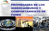 Introduccion a Propiedades de Hidrocarburos