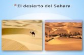 el desierto de sahara