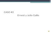 Caso 2 Ernest Y Julio Gallo