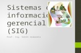 Semana 9   sistemas de información gerencial (sig)