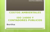 Costos ambientales, ISO 14000 y los contadores públicos