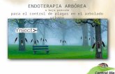 Endoterapia arbórea a baja presión para el control de plagas en el arbolado urbano