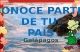 Galapagos (1)