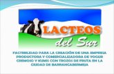 Presentación yogurt Barranca