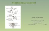 Introducción a la Morfología Vegetal