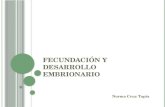Fecundación y desarrollo embrionario 2011