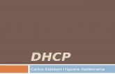 DHCP presentación