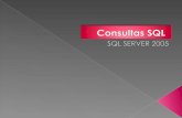 Consultas Basicas En Sql Server 2005