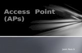 Access Point (AP)