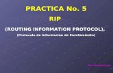 Reporte practica 5