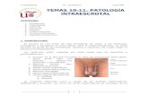 Temas 10-11. PATOLOGÍA INTRAESCROTAL. Patología quirúrgica. Lola FFB