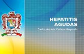 Hepatitis agudas