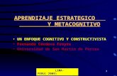 Aprendizajes Estratégicos y Metacognitivos.