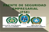 Frente De Seguridad Empresarial (FSE)